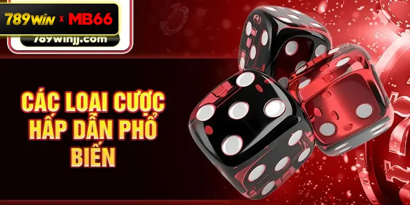 Các loại cược hấp dẫn phổ biến 