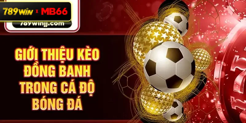 Giới thiệu kèo đồng banh trong cá độ bóng đá