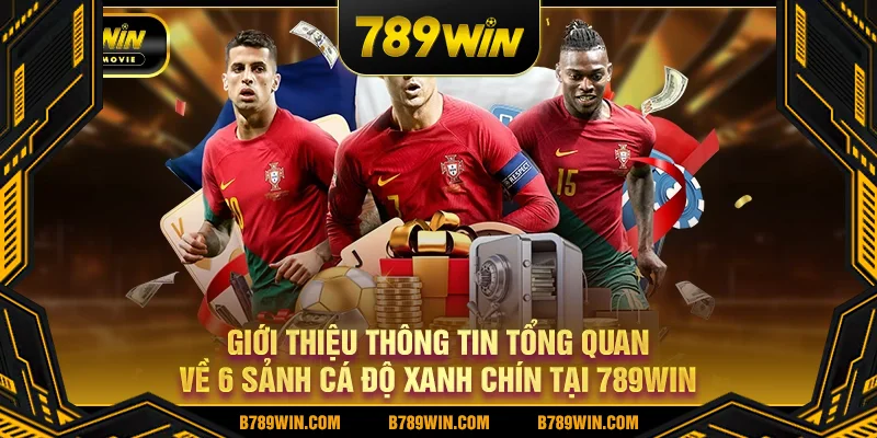 Giới thiệu thông tin tổng quan về 6 sảnh cá độ xanh chín tại 789win