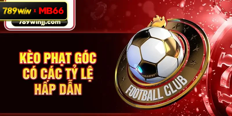 Kèo phạt góc có các tỷ lệ hấp dẫn Kèo phạt góc có các tỷ lệ hấp dẫn
