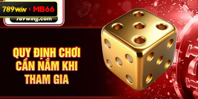 Quy định chơi cần nắm khi tham gia