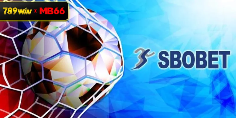 Sbobet 789WIN là gì? Thông tin chi tiết về sảnh thể thao nổi bật Sbobet 789WIN là gì? Thông tin chi tiết về sảnh thể thao nổi bật