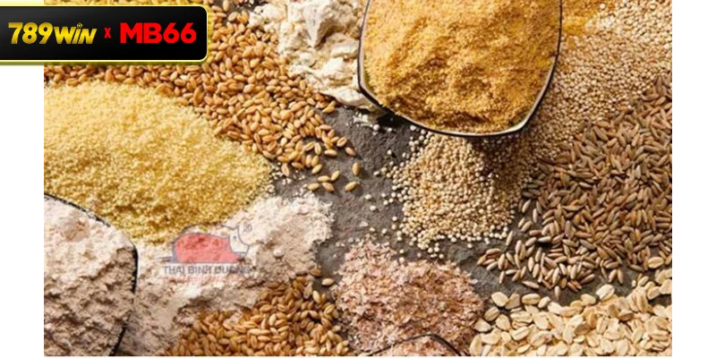 Nhóm thực phẩm giàu đạm cho gà đá – Yếu tố then chốt tạo nên sức mạnh chiến kê Nhóm thực phẩm giàu đạm cho gà đá – Yếu tố then chốt tạo nên sức mạnh chiến kê